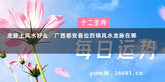 龙脉上风水好么 广西都安县拉烈镇风水龙脉在哪